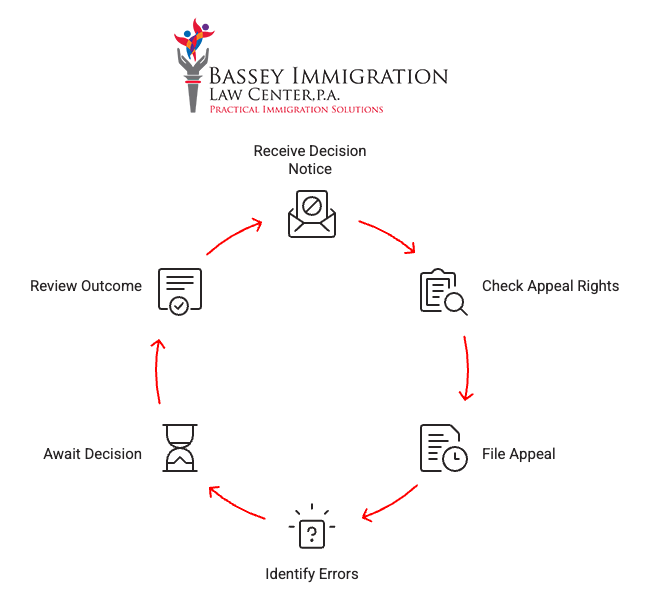Flowchart from Bassey Immigration Law Center, P.A. explaining the immigration appeal process. The steps are shown in a circular path: Receive Decision Notice, Check Appeal Rights, File Appeal, Identify Errors, Await Decision, and Review Outcome. Each step includes a related icon, with red arrows connecting the steps in a continuous cycle.