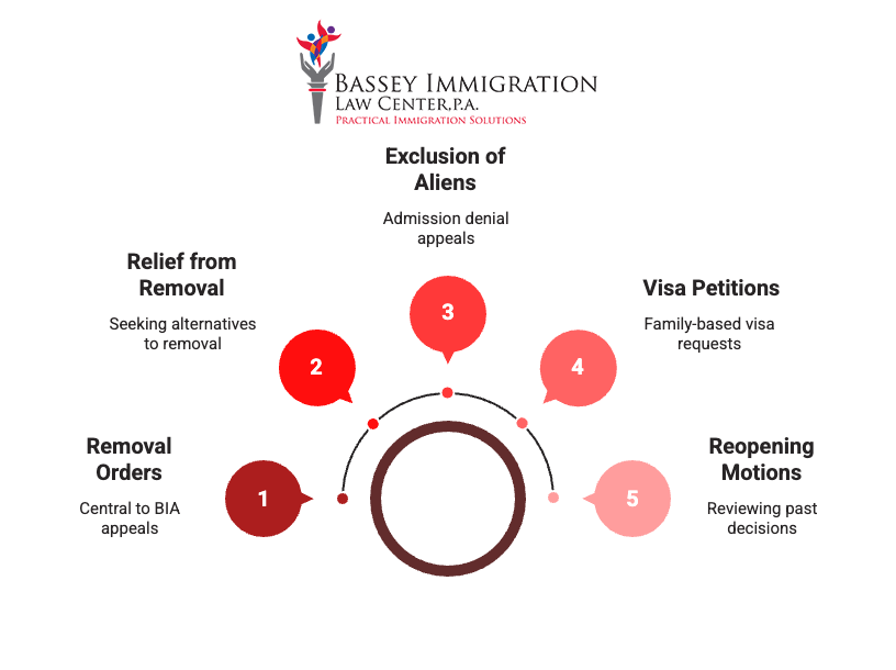 Circular infographic from Bassey Immigration Law Center, P.A. highlighting five key areas of BIA (Board of Immigration Appeals) procedures: Removal Orders (central to BIA appeals), Relief from Removal (seeking alternatives), Exclusion of Aliens (admission denial appeals), Visa Petitions (family-based requests), and Reopening Motions (reviewing past decisions). 