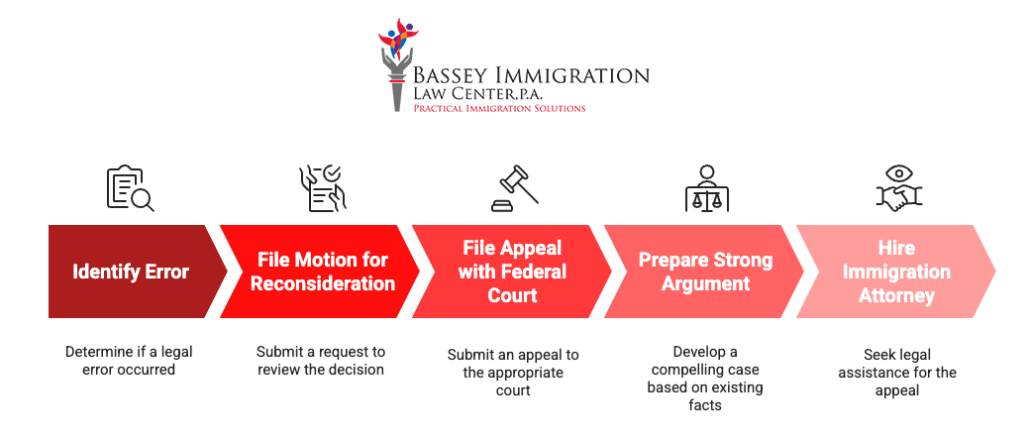 Step-by-step infographic from Bassey Immigration Law Center, P.A. titled “What are your options if you lose your immigration appeal?” Steps include: Identify Error, File Motion for Reconsideration, File Appeal with Federal Court, Prepare Strong Argument, and Hire Immigration Attorney. Each step has a related icon and a brief description underneath