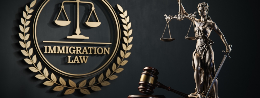 Immigration Law: Themis and judge's gavel in the background of a golden icon with scales and text.